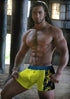Men's AQ Hybrid Collection Boxer Long Briefs – 3-Pack